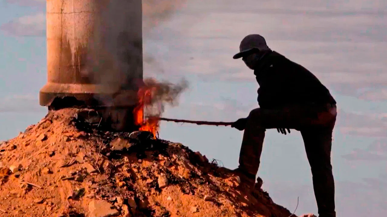 O Ambientalista backdrop
