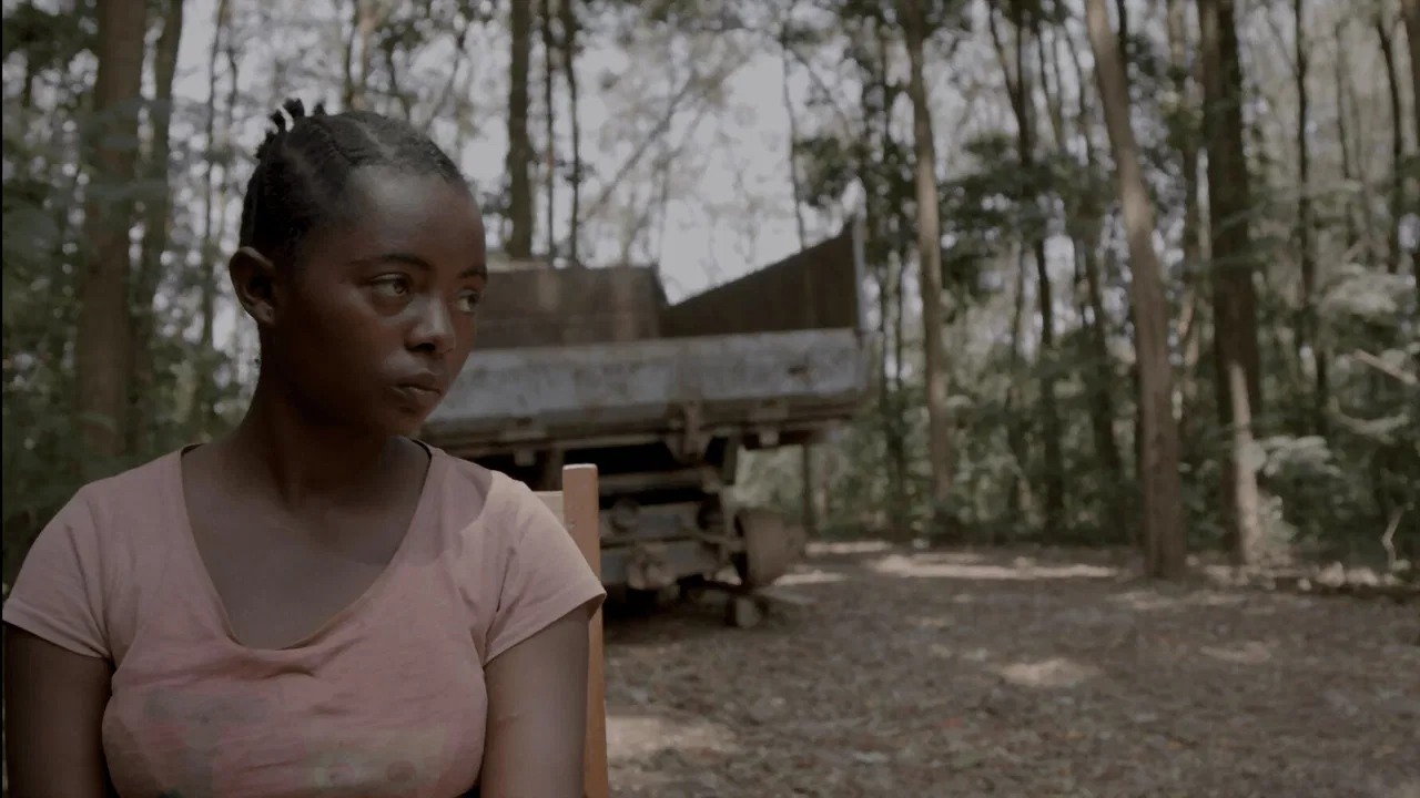 Seeds from Kivu backdrop