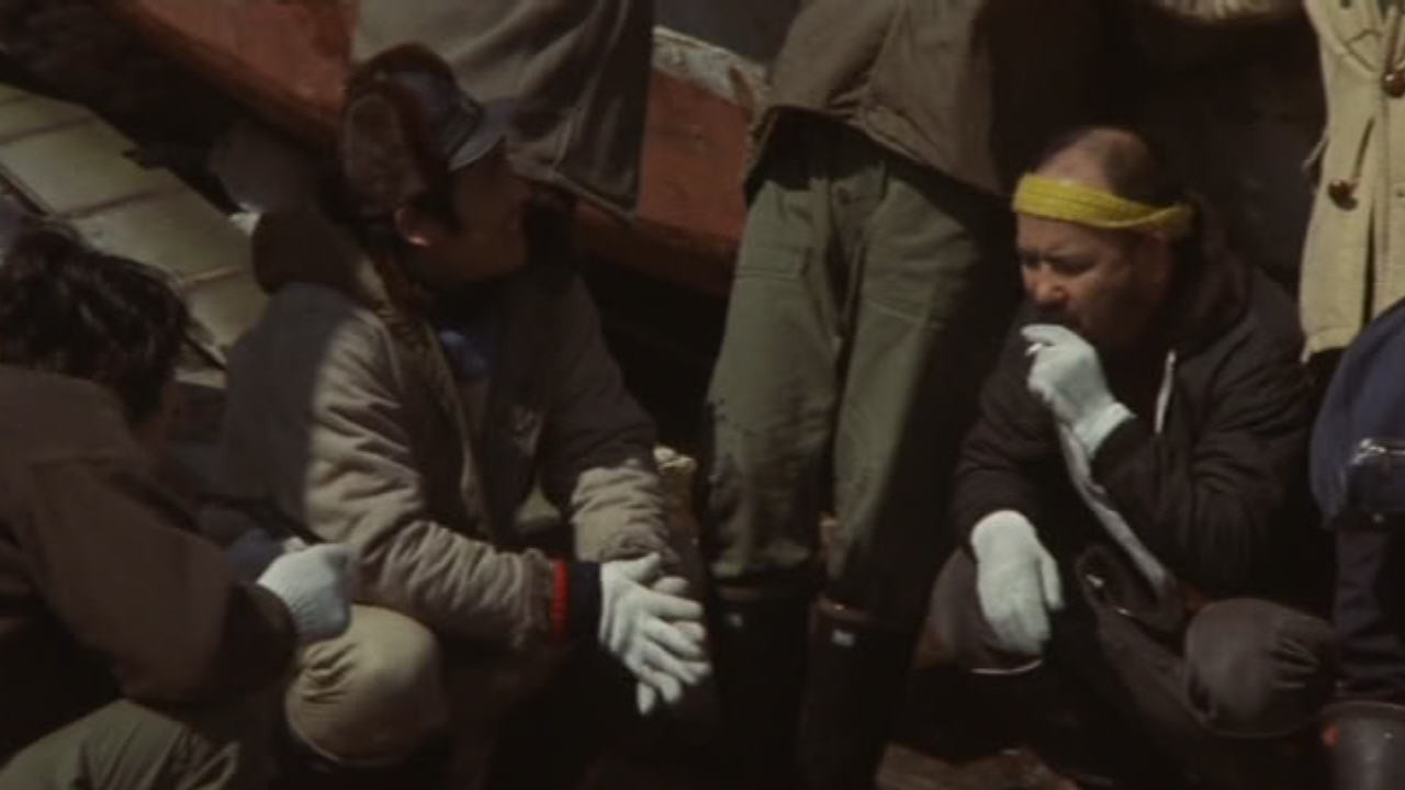 Light of Africa backdrop