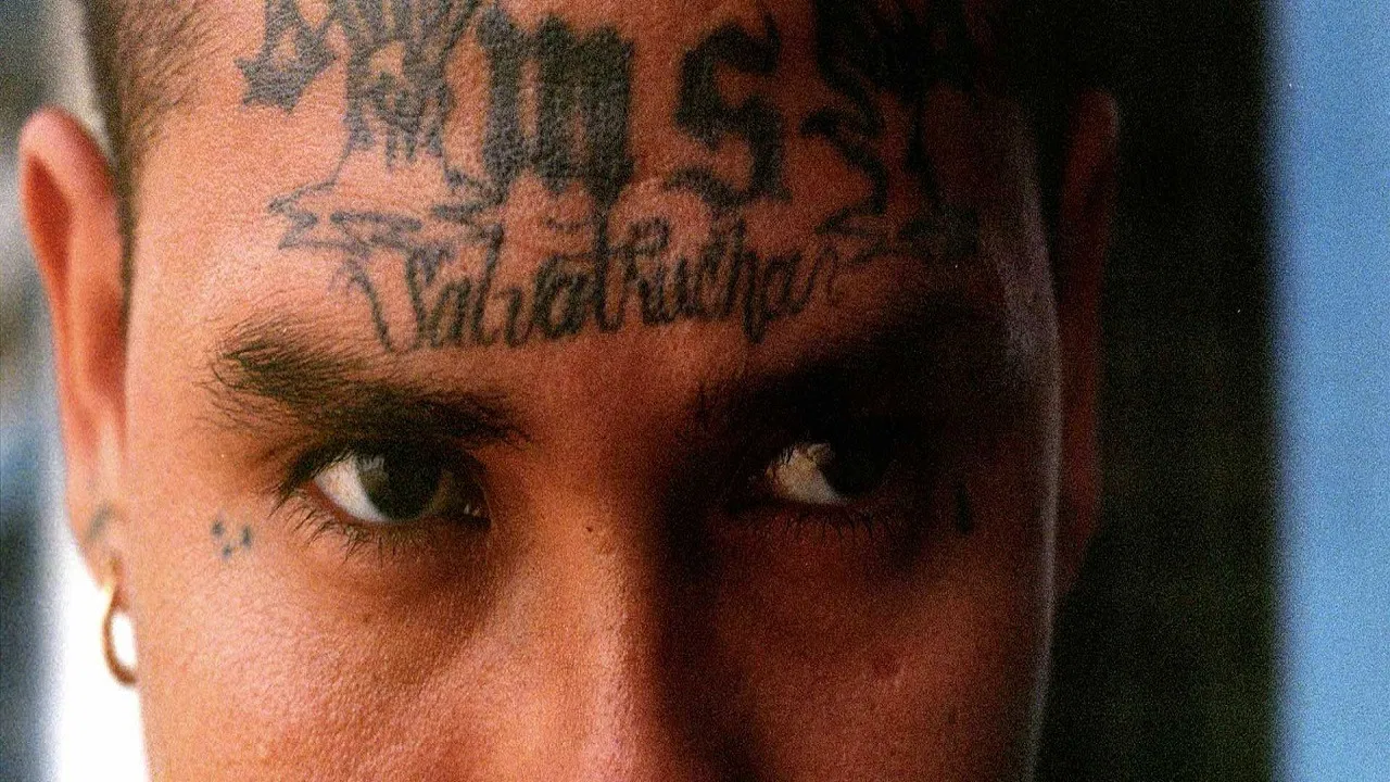 Children of the War backdrop