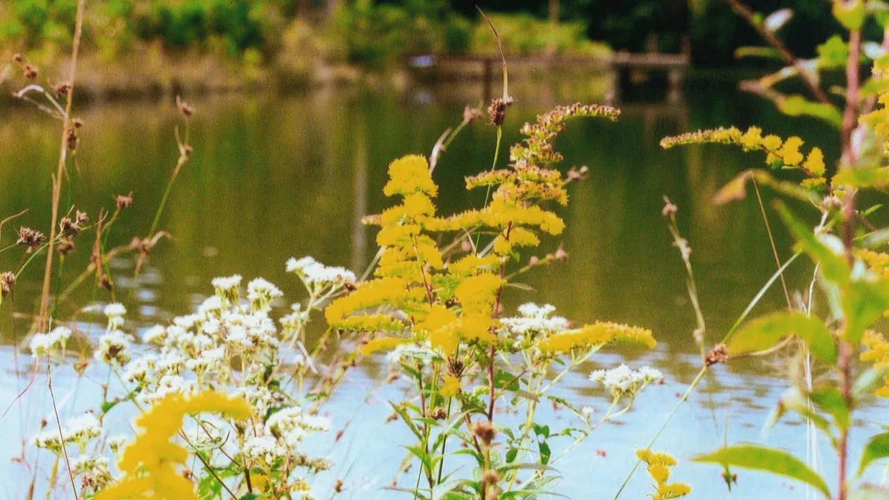 Gaming Hearts backdrop