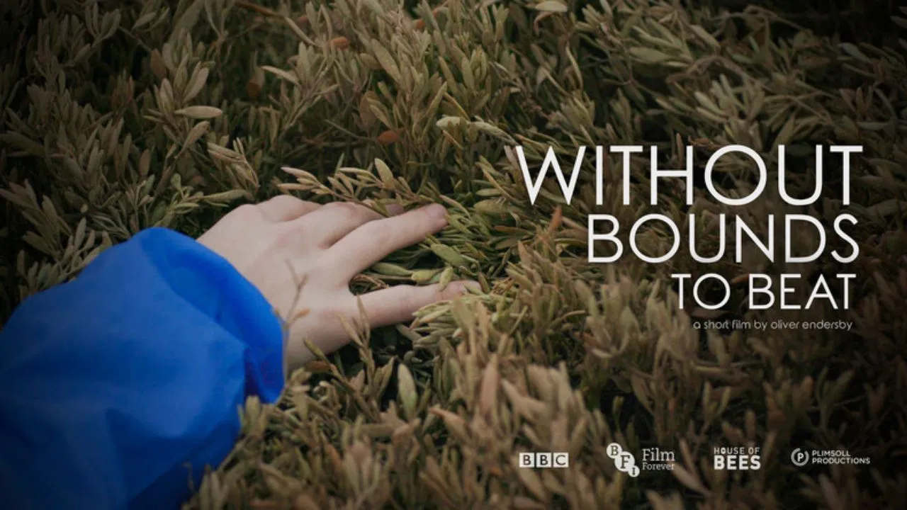 Without Bounds to Beat backdrop