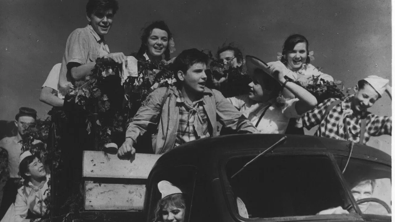 My Friend, Kolka! backdrop