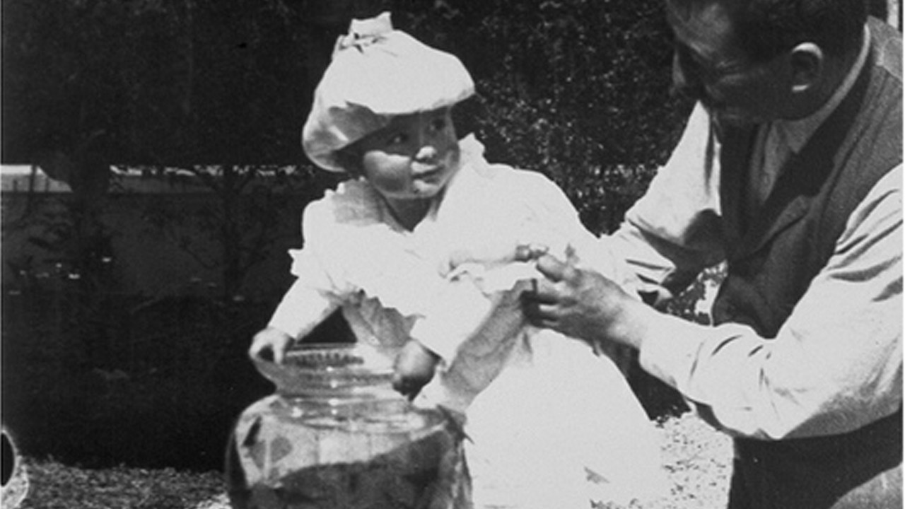 Fishing for Goldfish backdrop