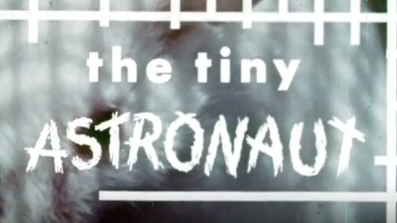 The Tiny Astronaut backdrop