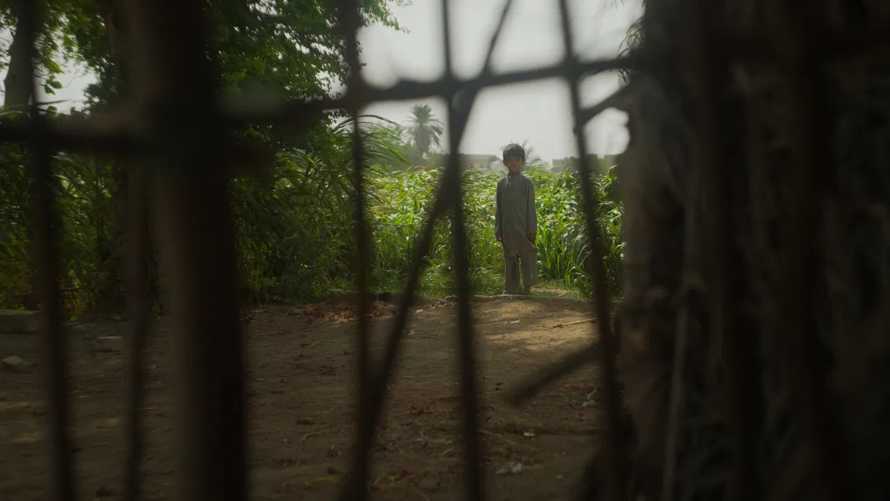 Portrait Of Life backdrop