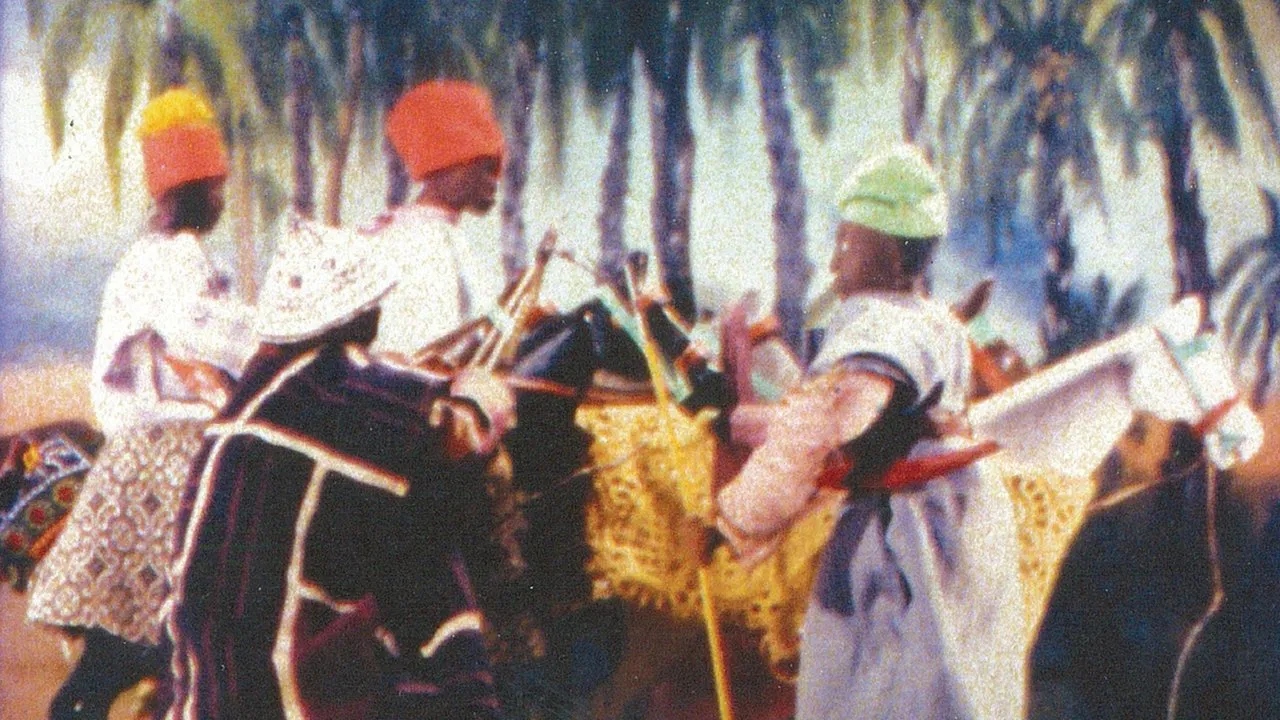 Samba the Great backdrop