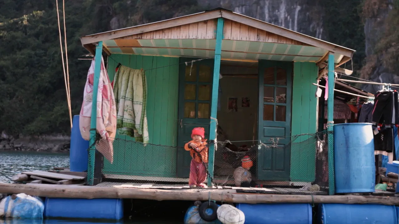 Fluid Boundaries backdrop