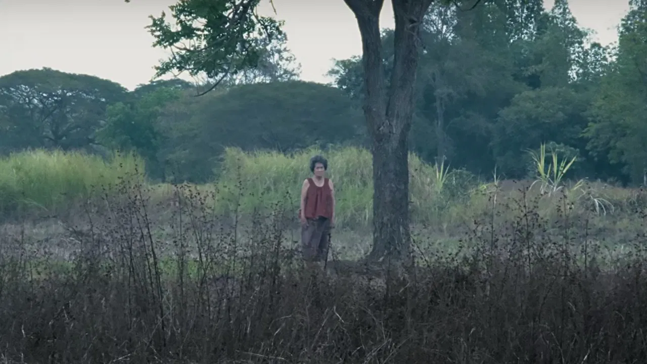 The Haunted Granny backdrop