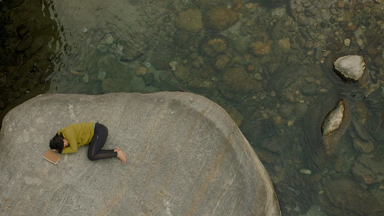 Shape of Momo backdrop