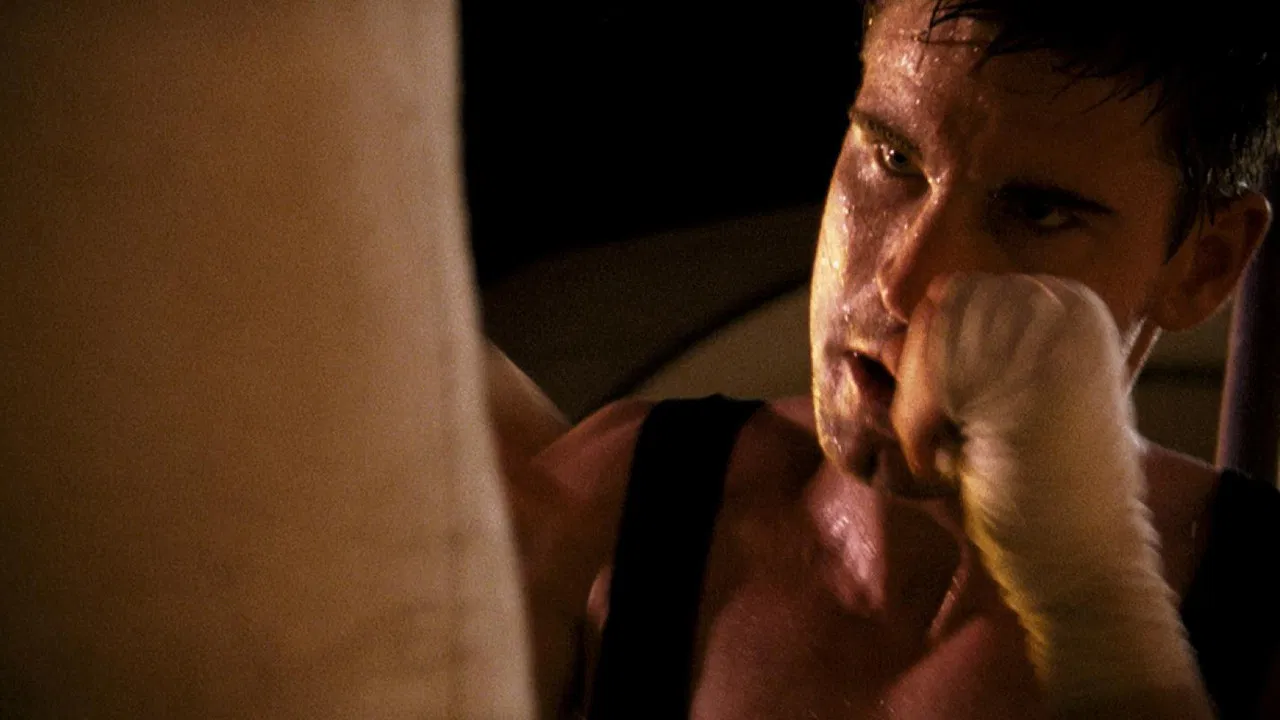 Koning van de Wereld backdrop