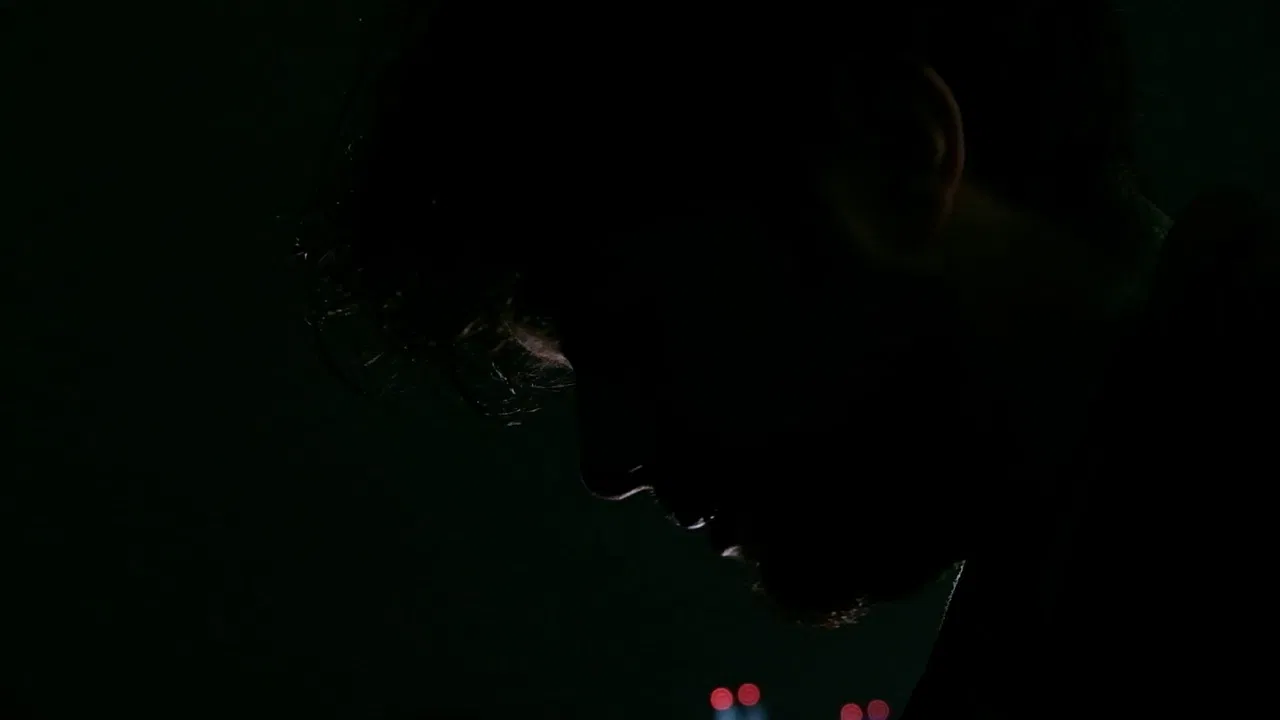 The Busy World Around Me. backdrop