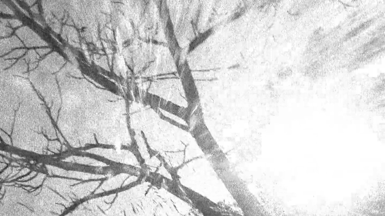 Spectral Ascension backdrop