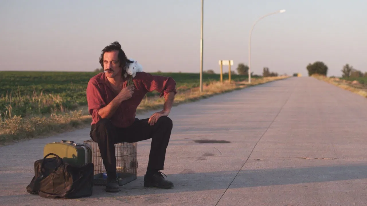 A Moonless Night backdrop