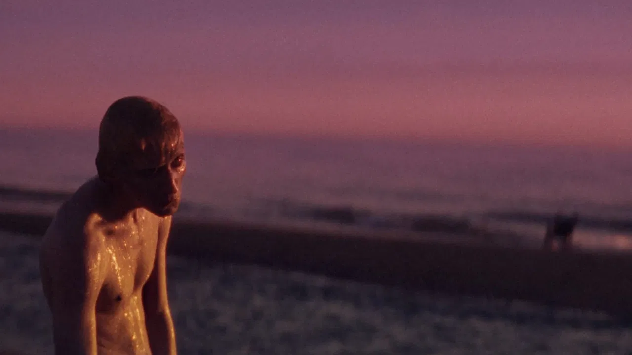 Or How to Disappear backdrop