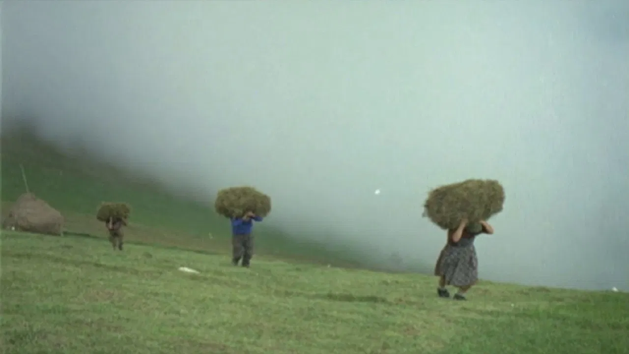 La montagna del sole backdrop