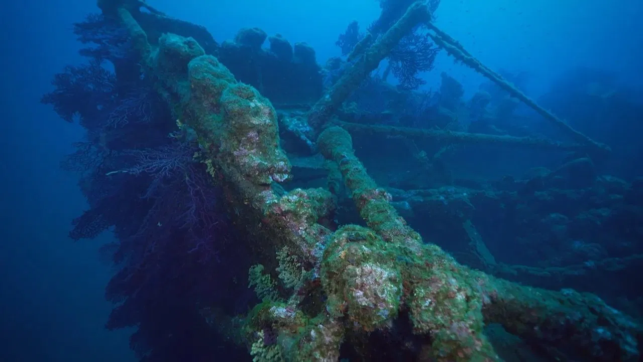 Épaves, des oasis pour la nature backdrop