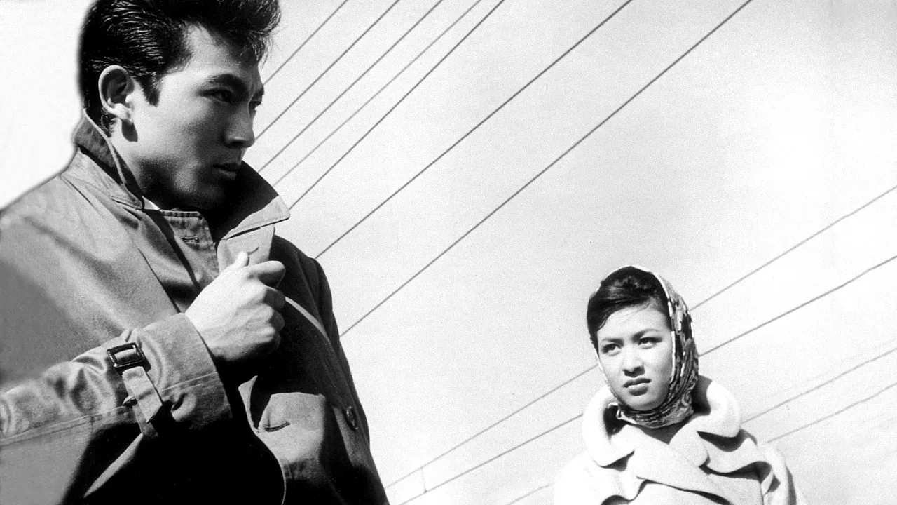 Black Sea of Trees backdrop