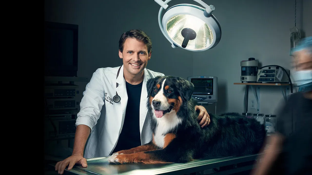 Dr Sébastien, vétérinaire backdrop