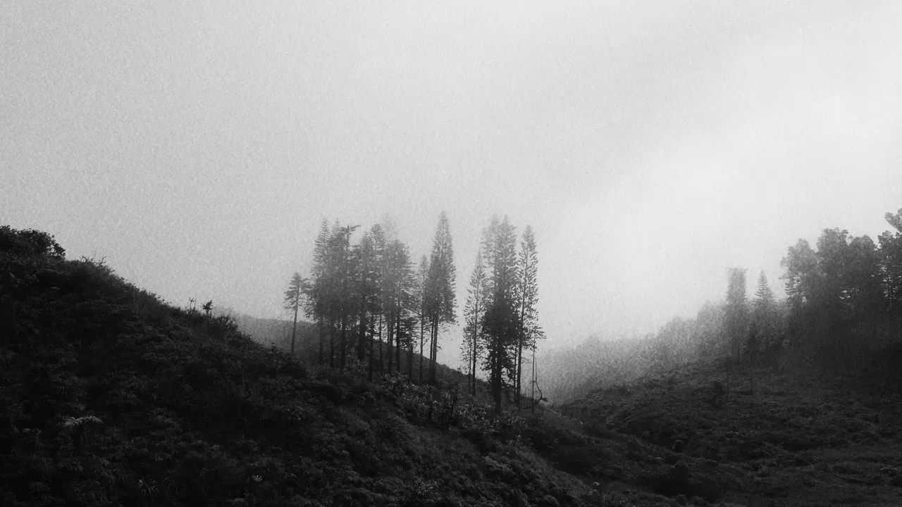 Intermediate Steps Between Falsehoods backdrop