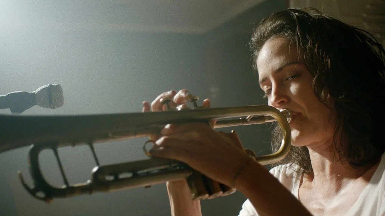 We Still Have the Deep Black Night backdrop