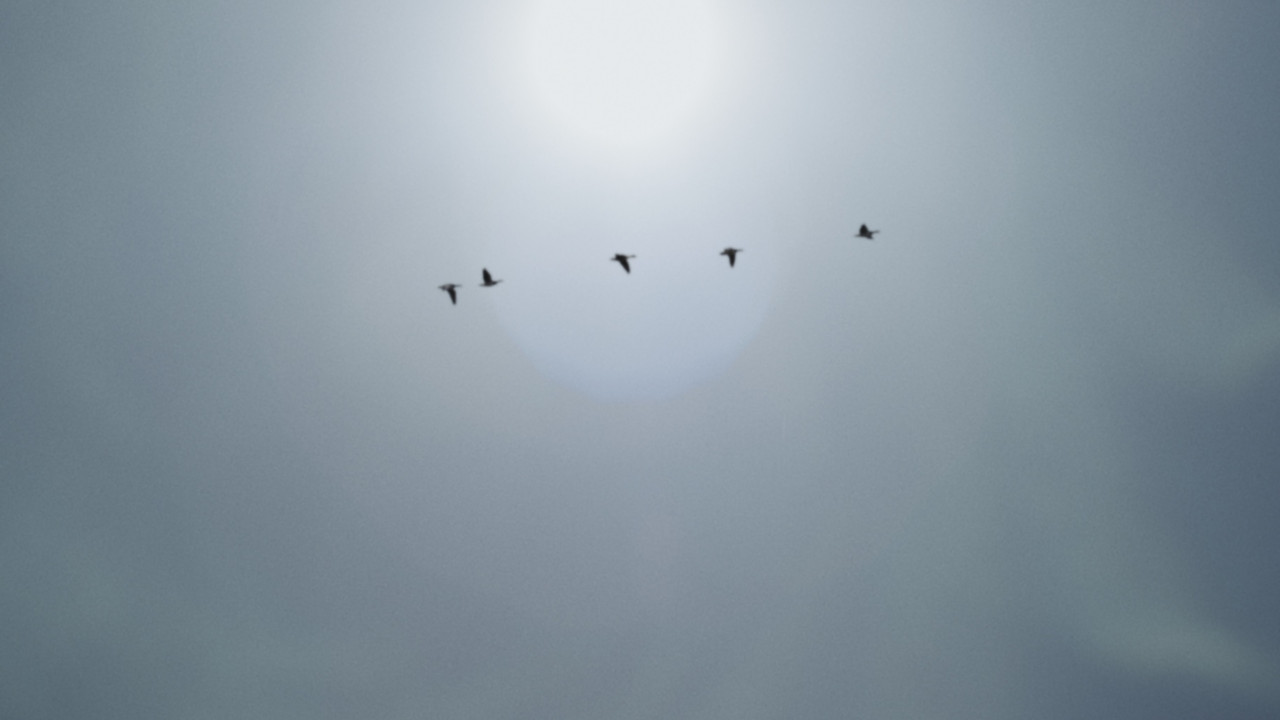 A Place to Hide backdrop