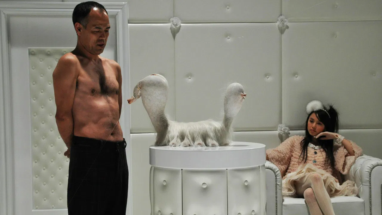 The Warped Forest backdrop