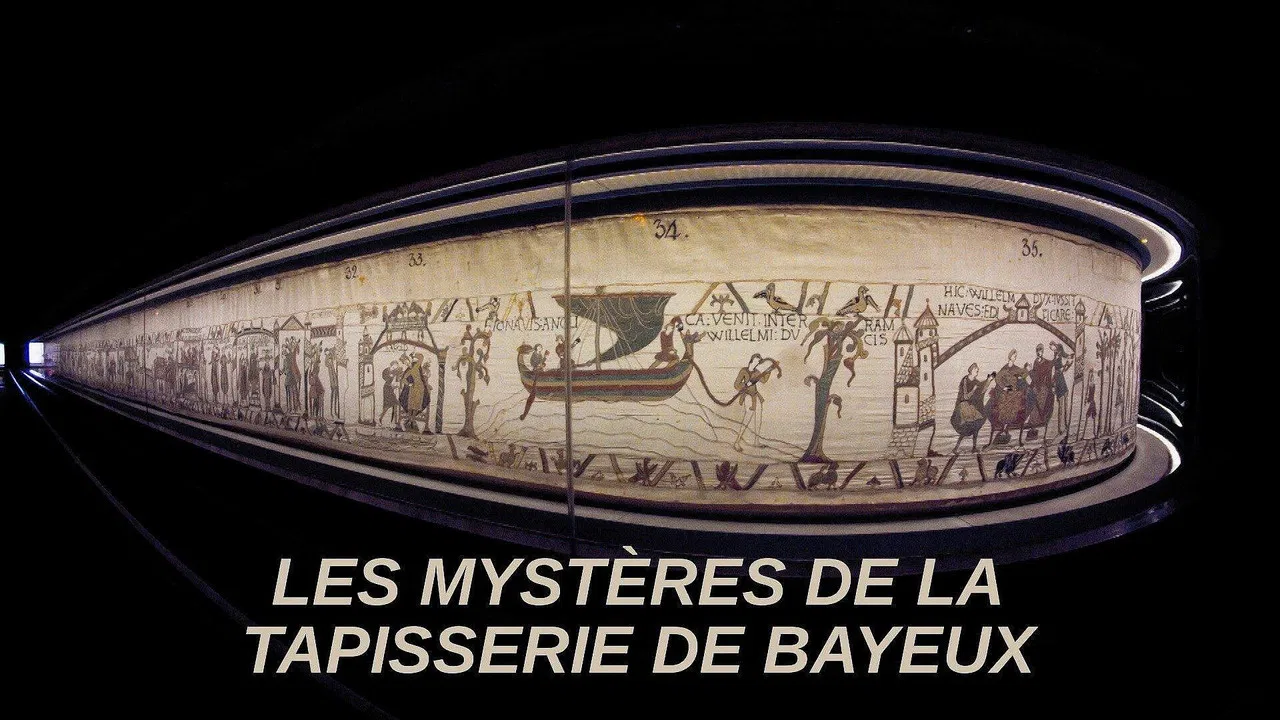 Mysteries of the Bayeux Tapestry backdrop
