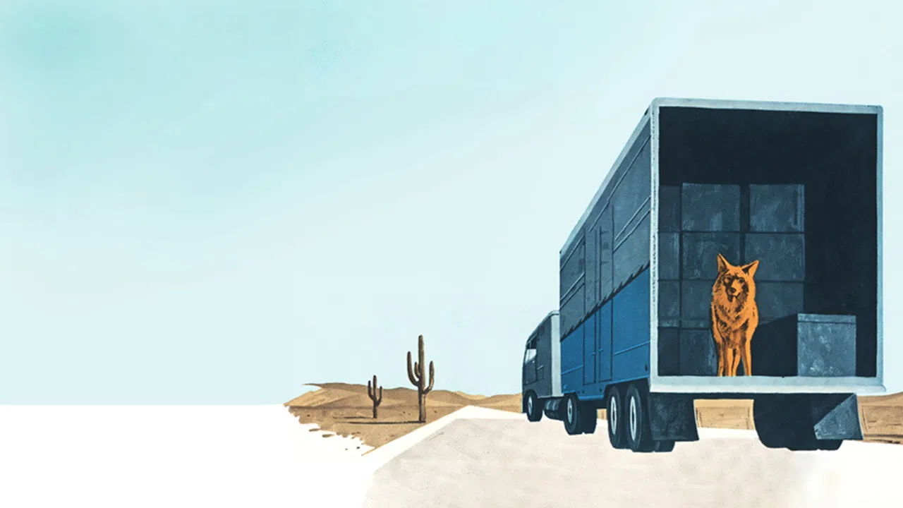 A Country Coyote Goes Hollywood backdrop