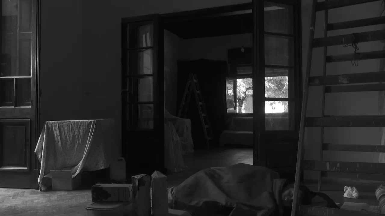 Segunda Mano backdrop