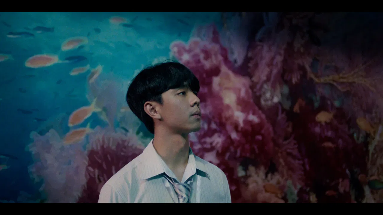 Jelly Rocket backdrop