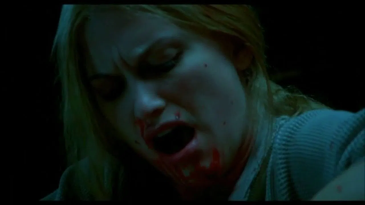 KatieBird *Certifiable Crazy Person backdrop