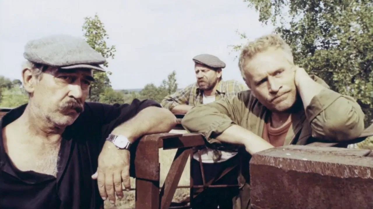 The Black Stork backdrop