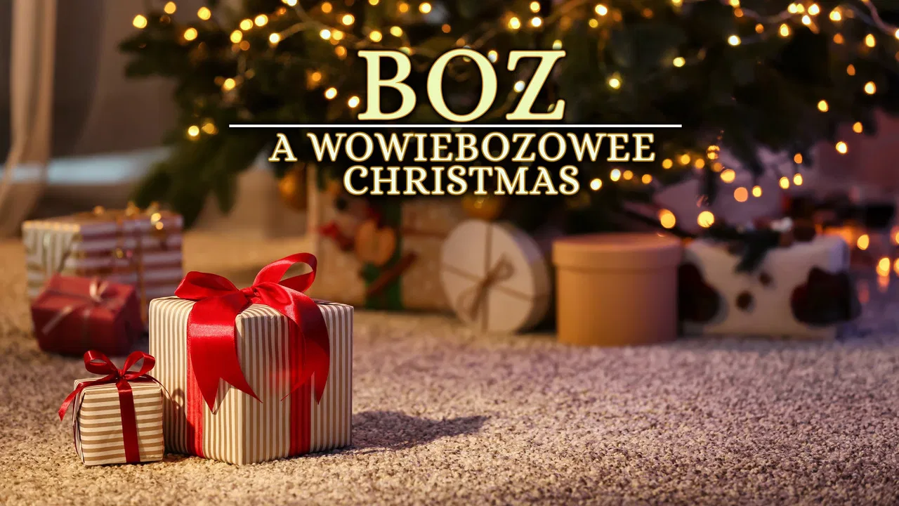 A WowieBozowee Christmas backdrop