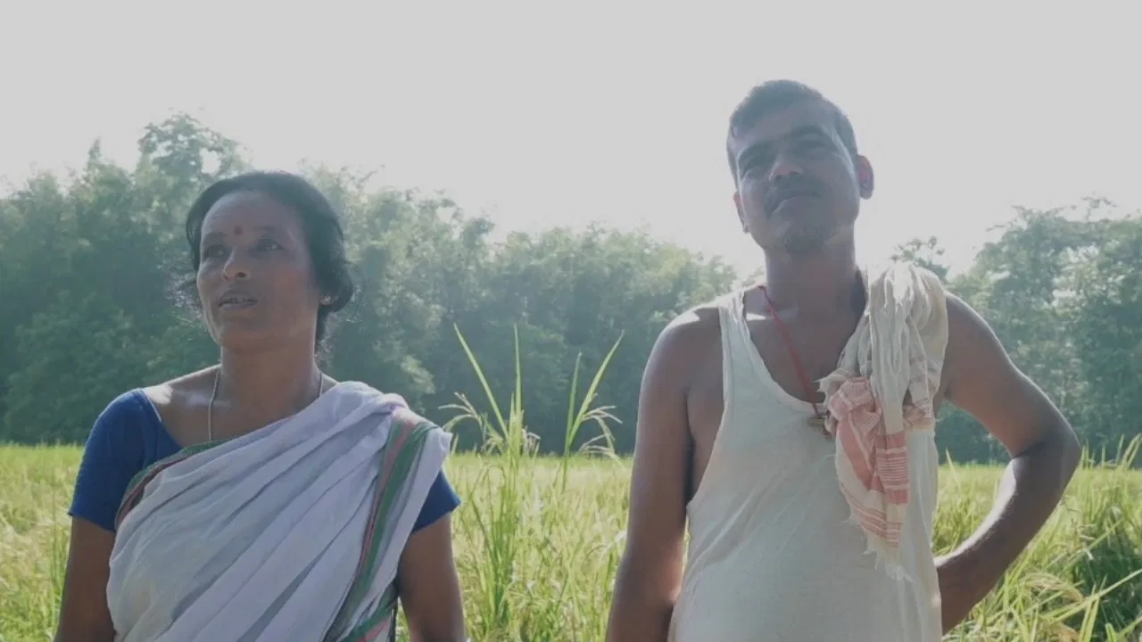 The Catfish backdrop