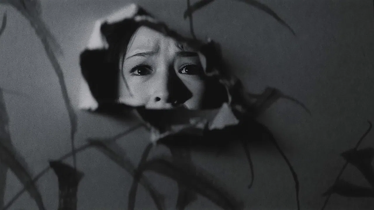 The Wild Geese backdrop