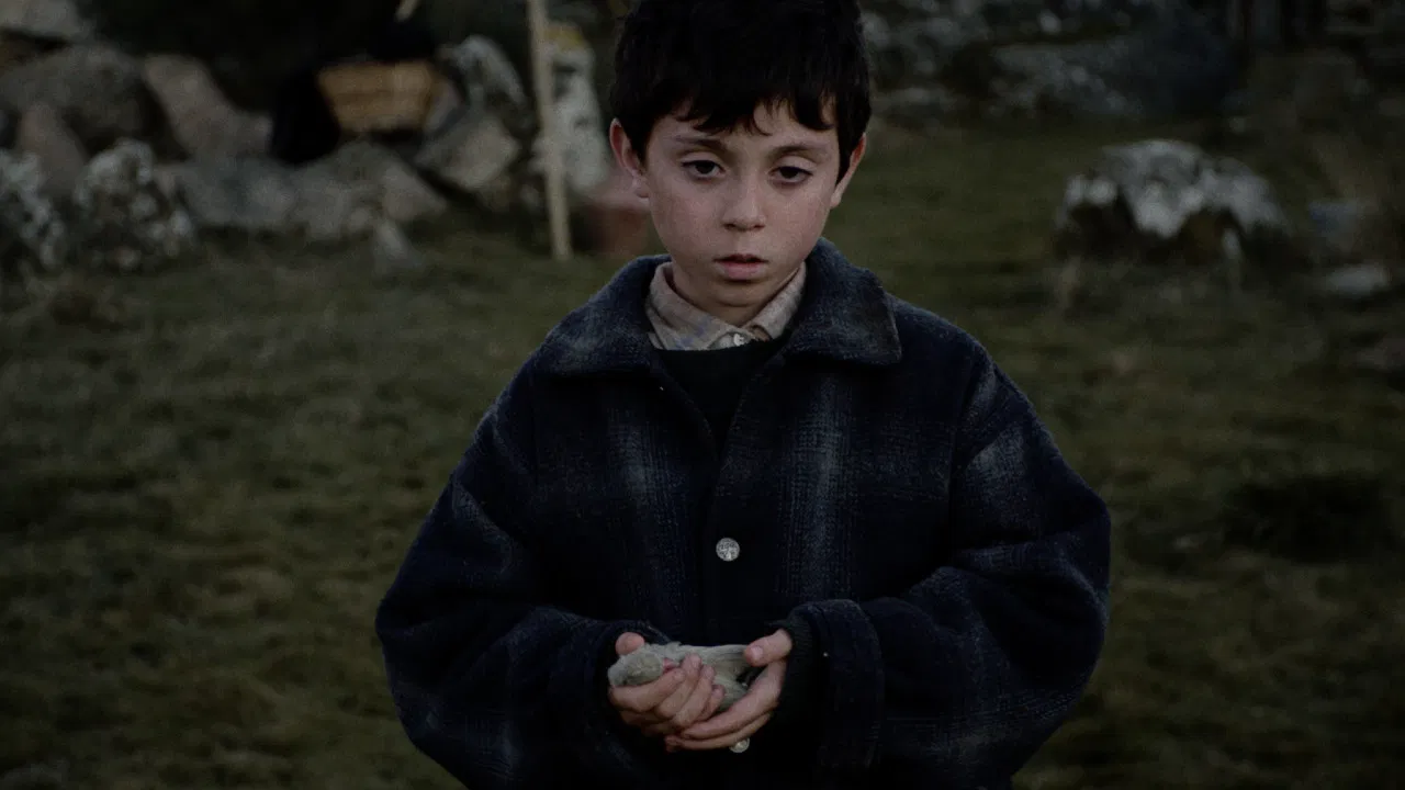 Our Kingdom backdrop