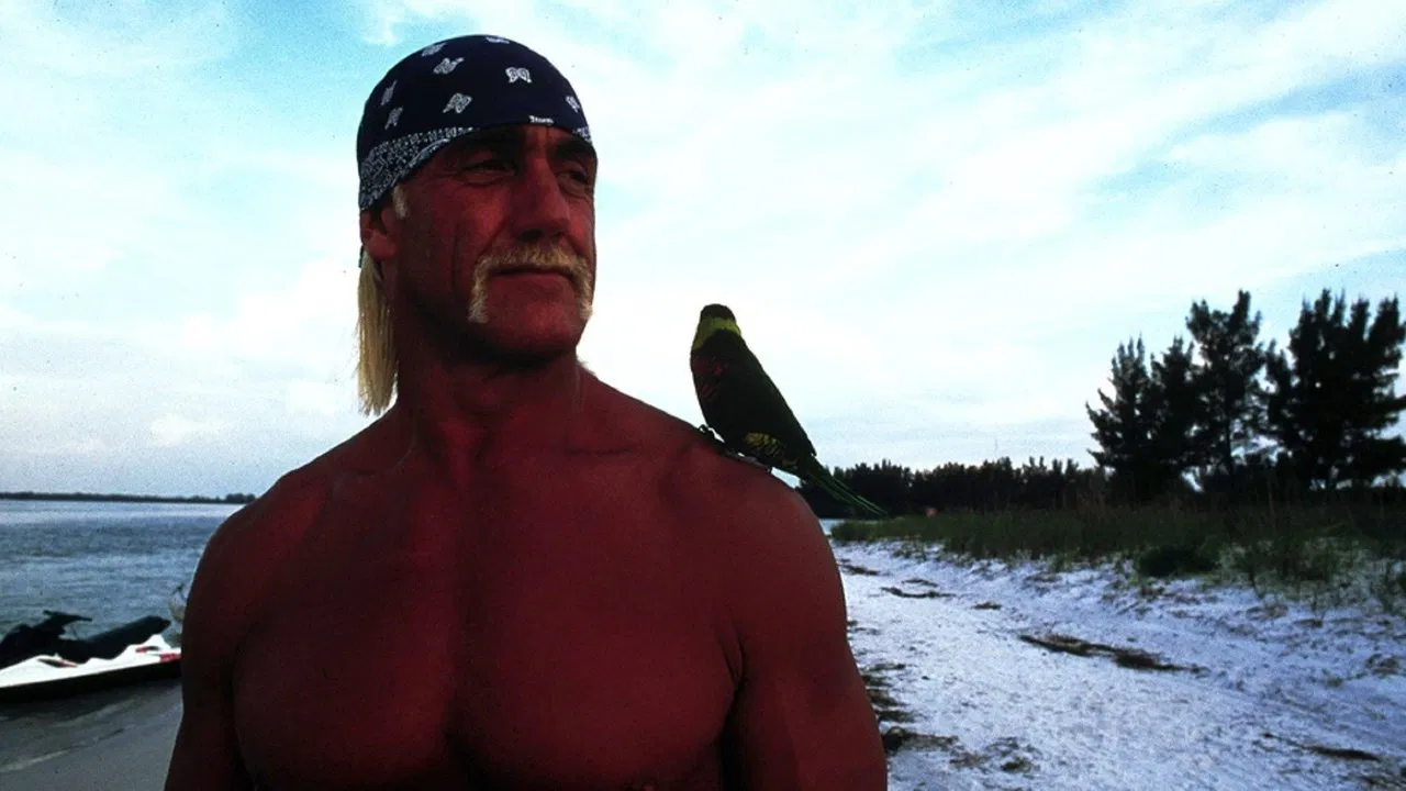 McCinsey's Island backdrop