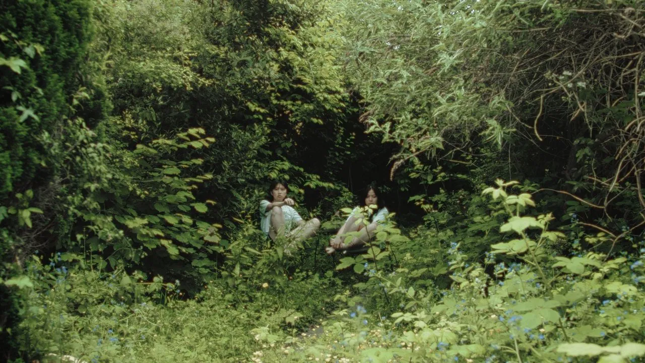 My Sister Is a Butterfly backdrop