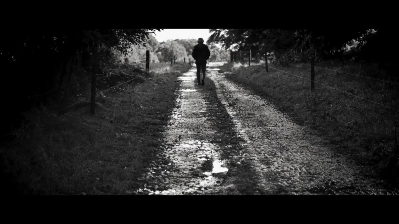 The Days of Trees backdrop