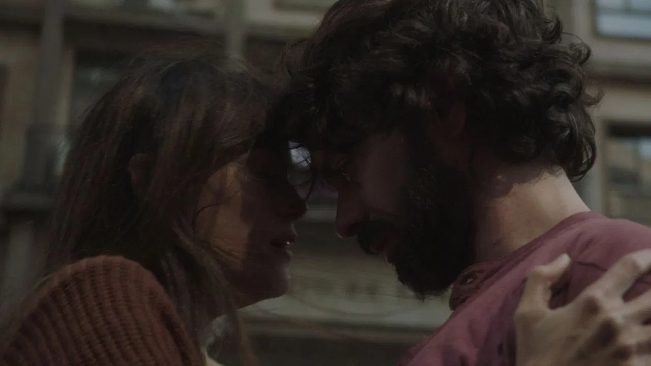 The Companions backdrop