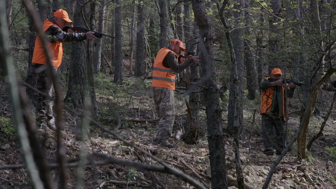 Stay Master backdrop