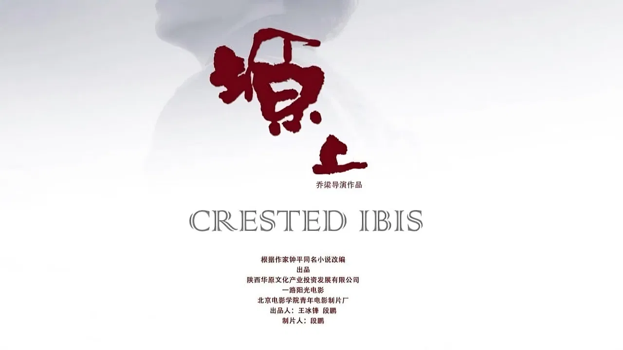 Crested Ibis backdrop