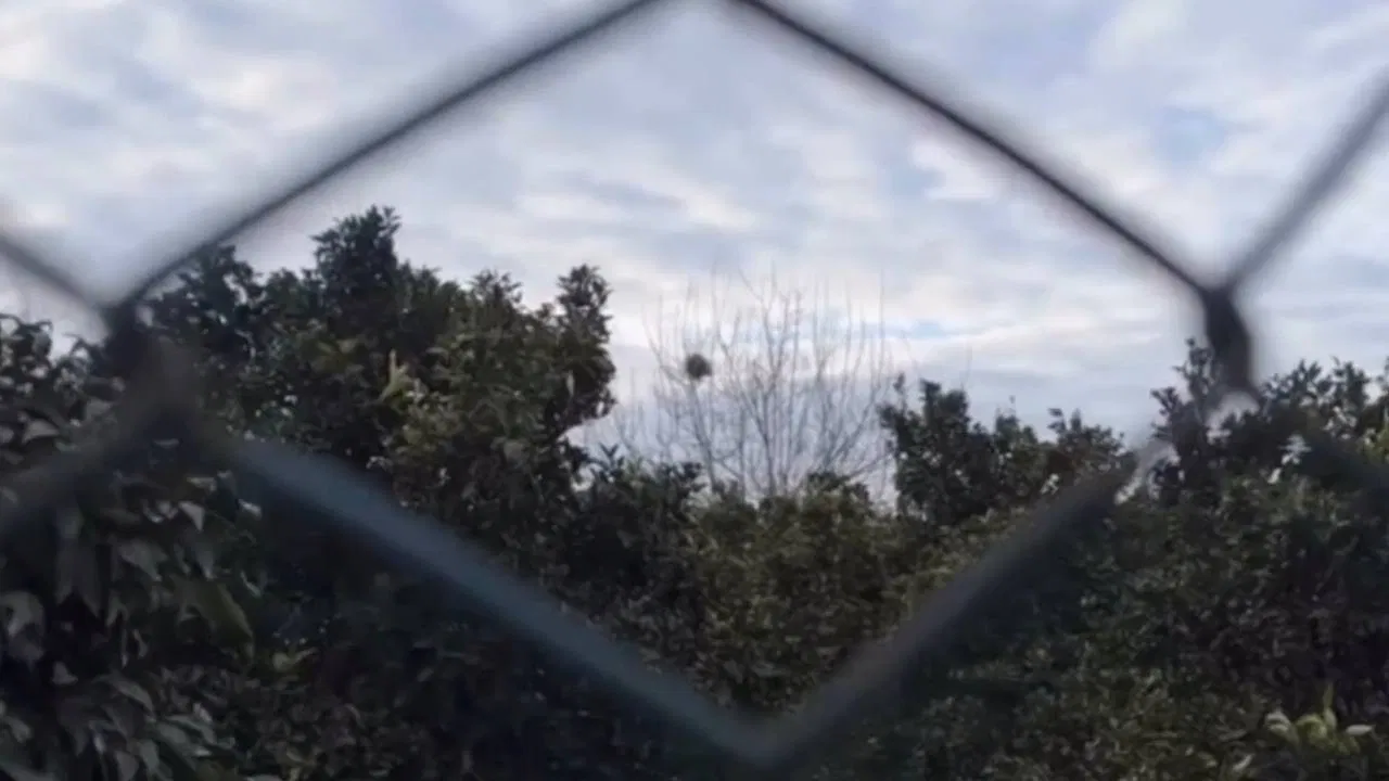 Taxi And A Little Waste backdrop