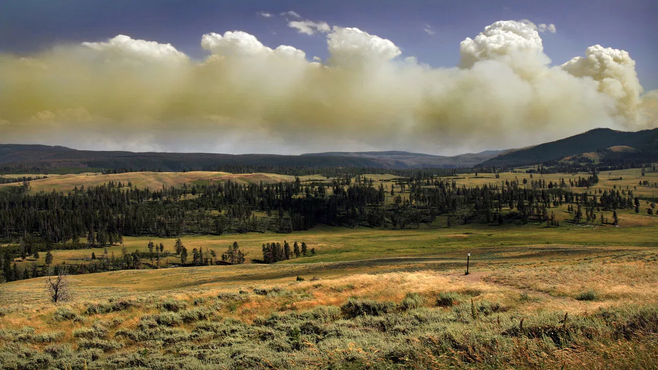 National Parks Exploration Series: Yellowstone backdrop