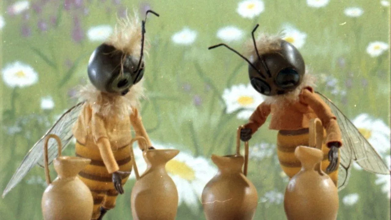 City of Honey Masters backdrop