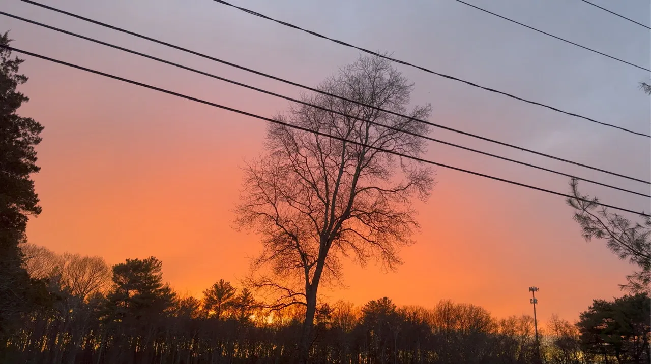 A Fair Trade backdrop