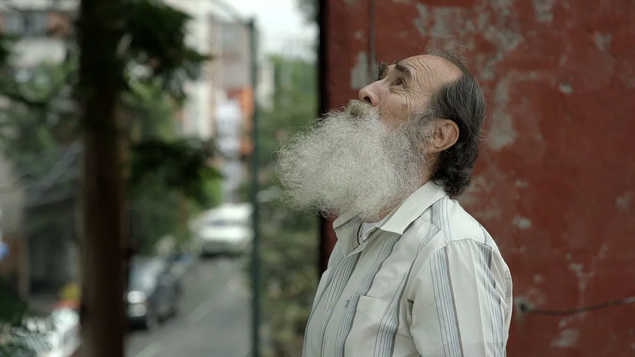 Mirando al Cielo backdrop