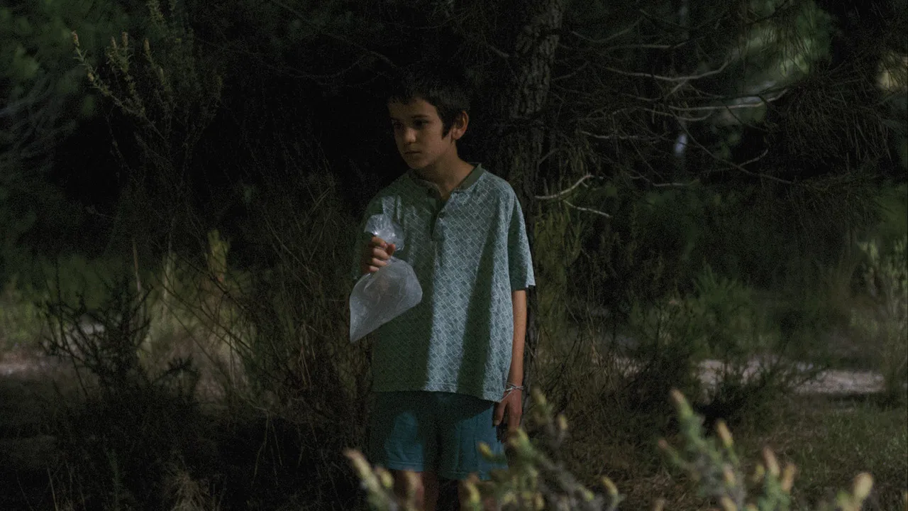 Wild Haggis backdrop