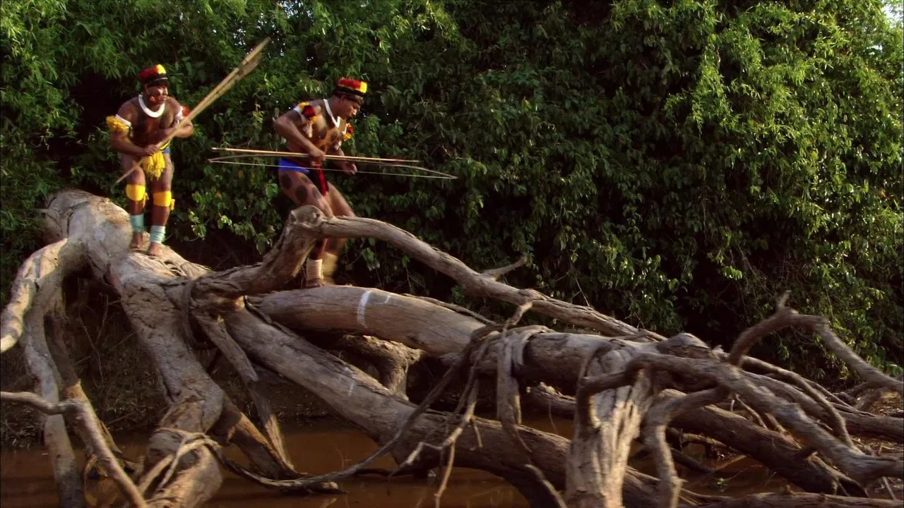 Amazon Forever backdrop